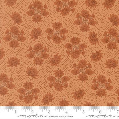 Speckled Serenade | Coral Seashell