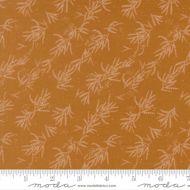 Branches | Caramel
