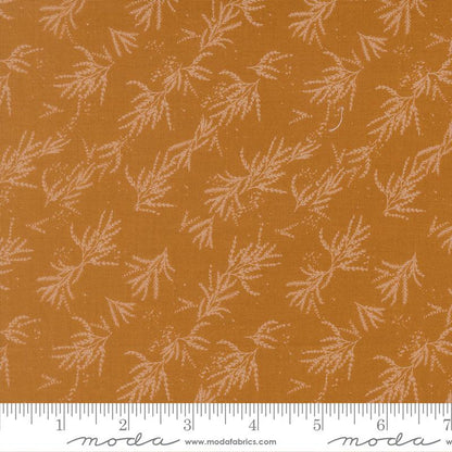 Branches | Caramel
