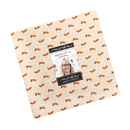 Pumpkin Spice Gatherings | Layer Cake