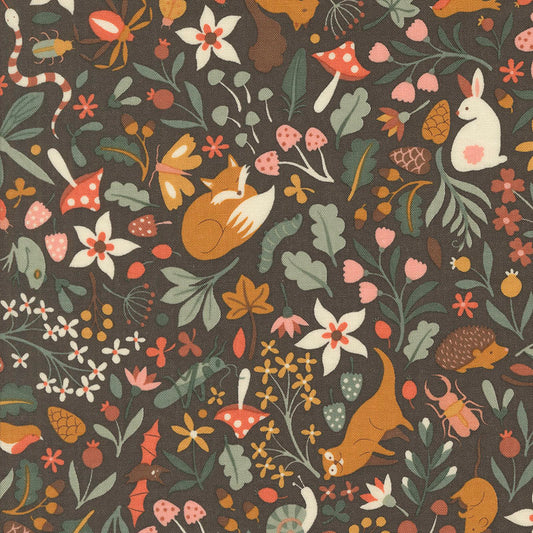 Acorn Hollow | Soil