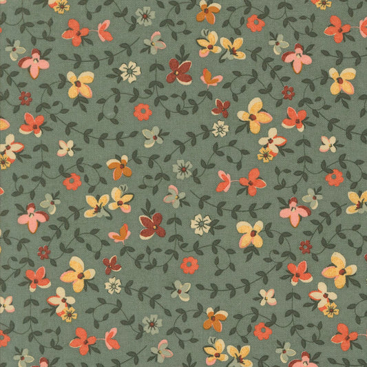 Acorn Hollow | Eucalyptus
