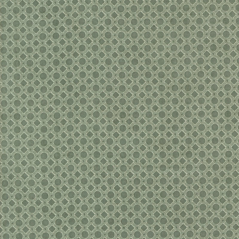 Acorn Hollow | Eucalyptus
