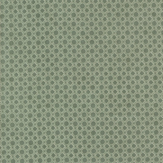 Acorn Hollow | Eucalyptus