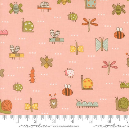 Bugs | Blush
