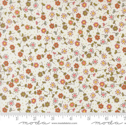 Meadow | Cloud