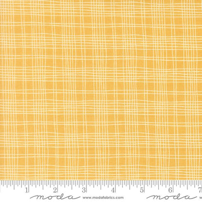 Plaid | Sunshine