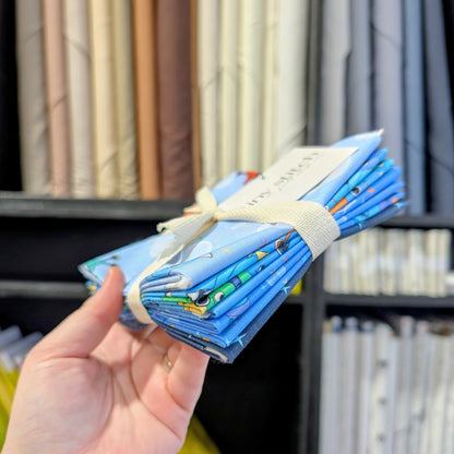 Space Monsters Fat Quarter Stack | 5 FQ