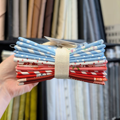 Funny Valentine Fat Quarter Stash | 9 FQ