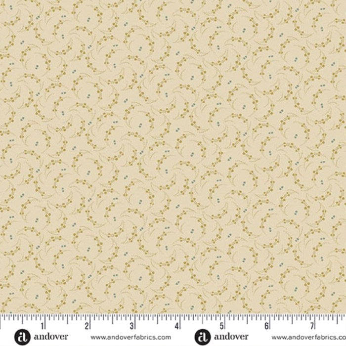 Seedlings | Cream