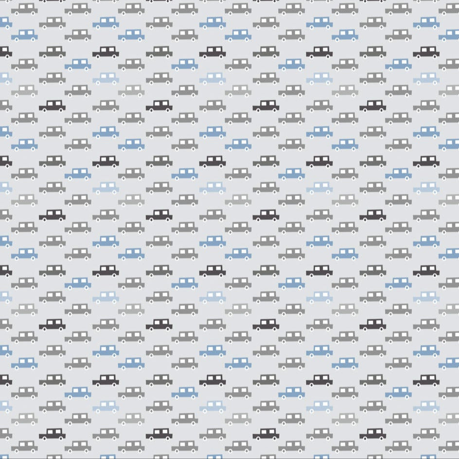 Fossil Folks | Cars Gray