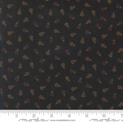 Strawflowers | Mulch