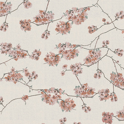 BOTANIST | Blossoming Daphne