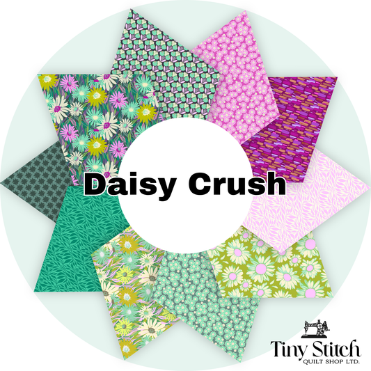 Daisy Crush | By the 0.10 Metre