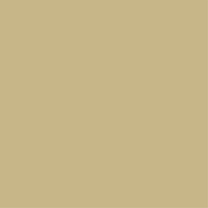 Flannel Solids | Tan