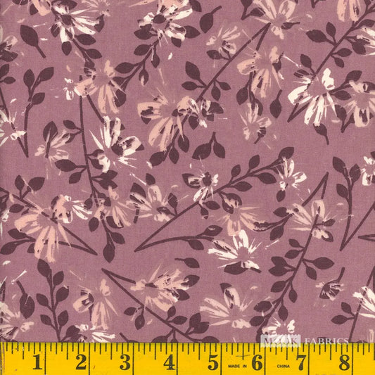 MK Aster 108" | Elderberry