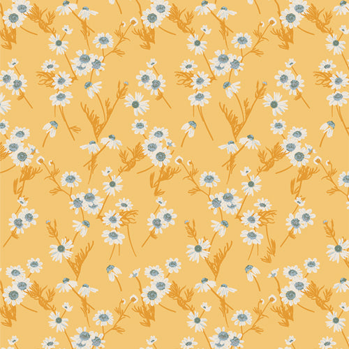 *EOB Midsummer | Herbal Remedy