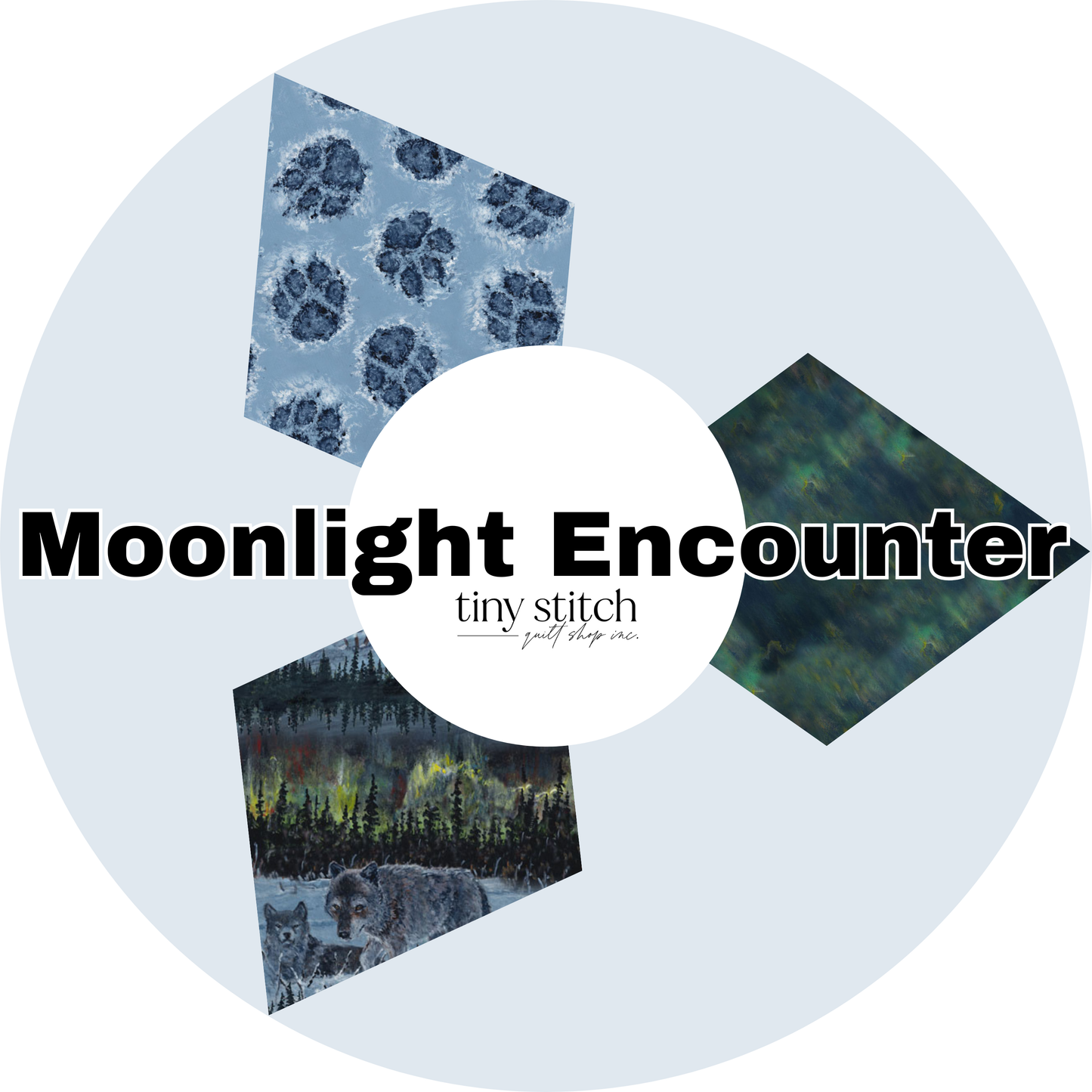 Moonlight Encounter | By the 0.10 Metre