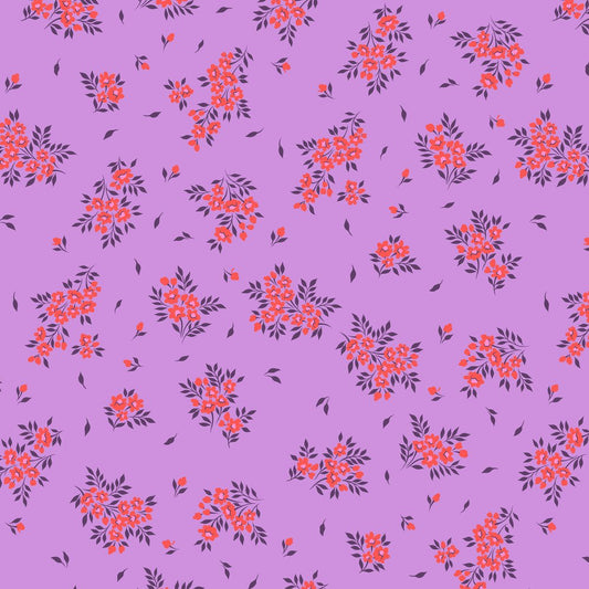 True Colors 2025 | What a Ditz - Heliotrope