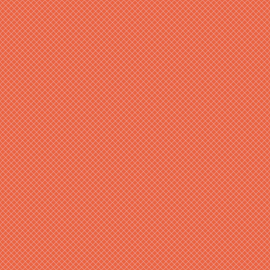 True Colors 2025 | On the Grid - Salmon