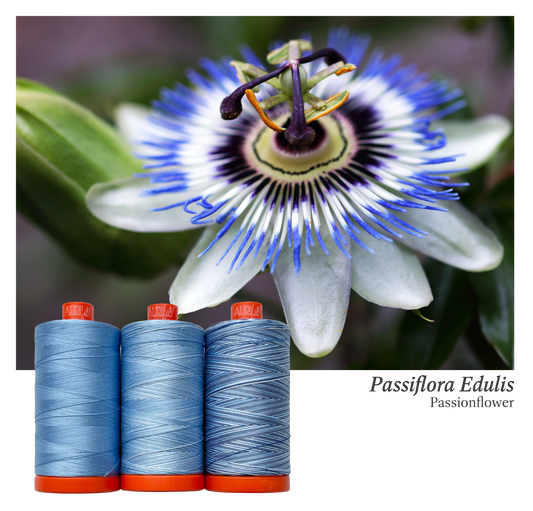 Aurifil | Passionflower Colour Builder 3pc