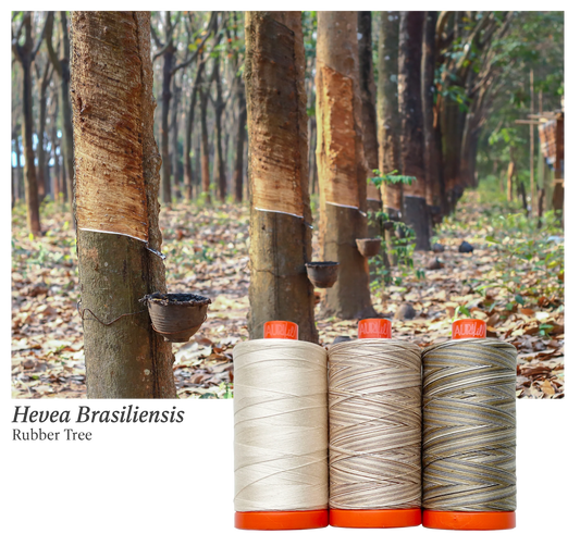 Aurifil | Rubber Tree Colour Builder 3pc