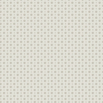 Spruce | By the 0.10 Metre