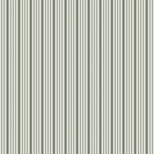 Spruce | Sage *PRE-ORDER