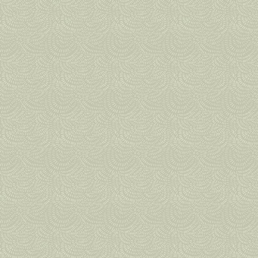 Crimp | Fern