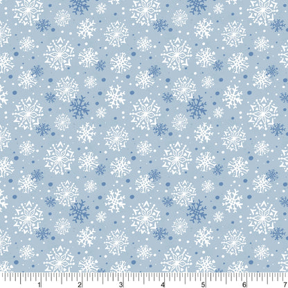 Snow Storm