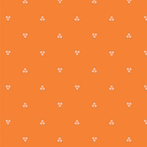 Tangerine | Sweet Tangerines