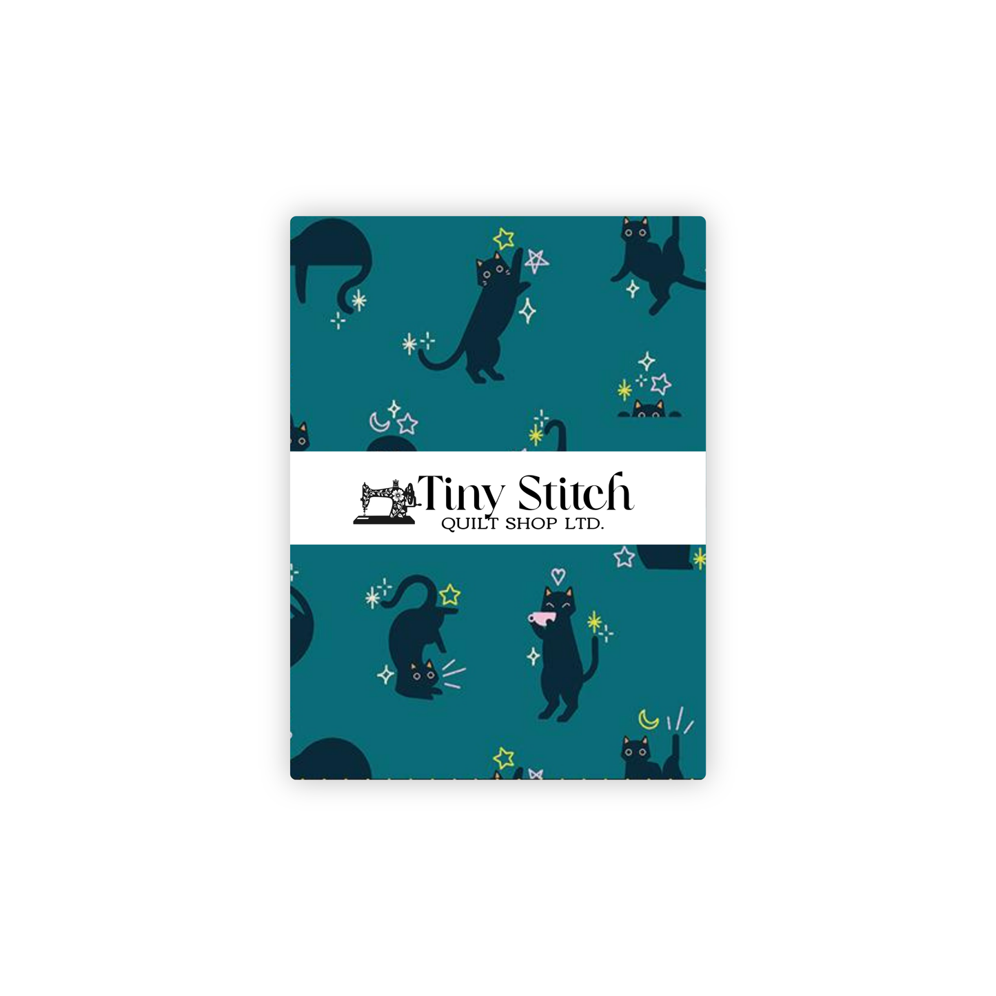 Cats | Storytime