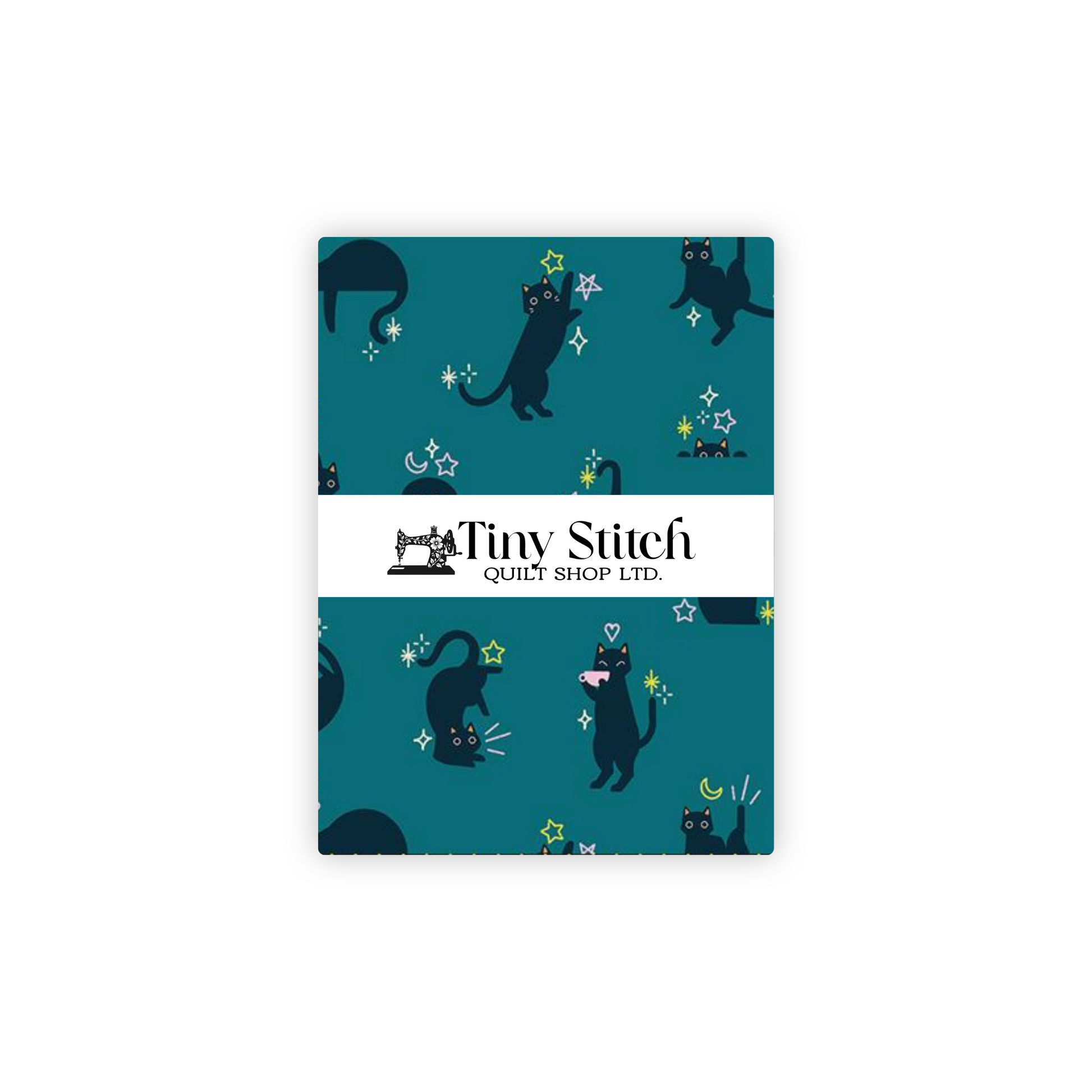 Cats | Storytime