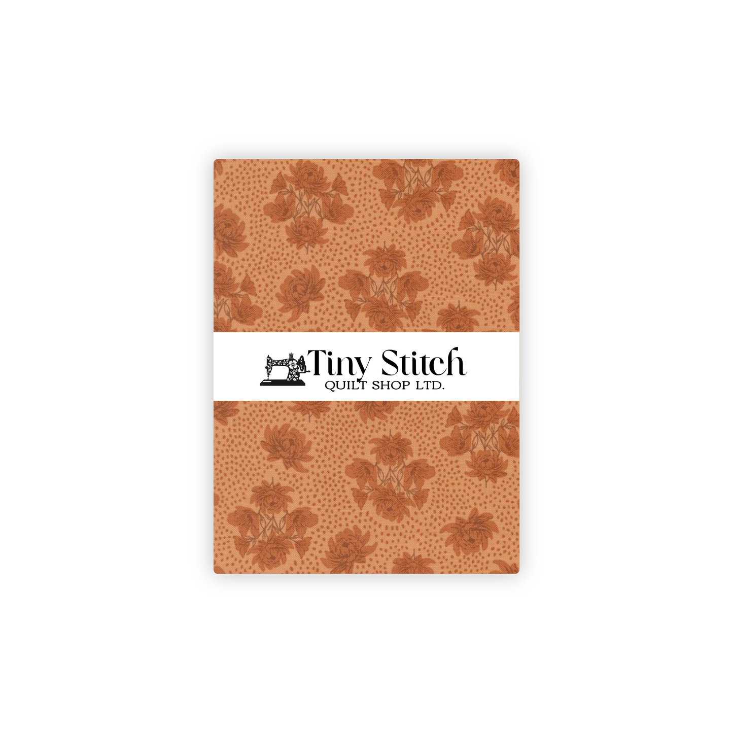 Speckled Serenade | Coral Seashell