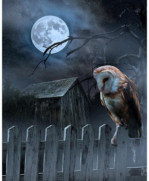 Moonshade Watch | Panel
