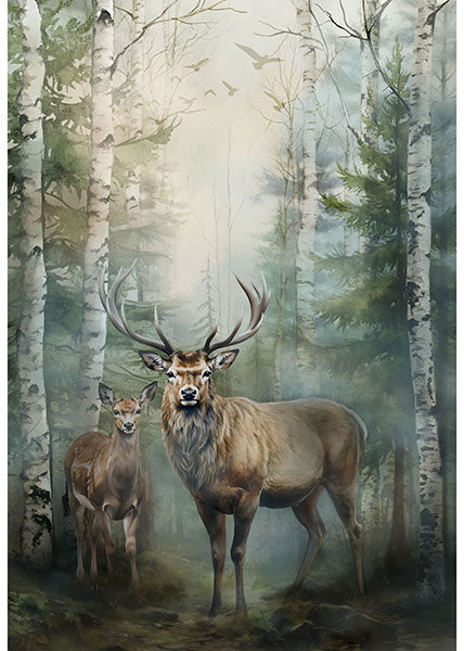 Stag and Stone | Panel