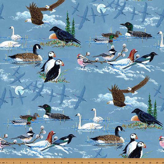 Land Sea Sky || Cerulean Y5862