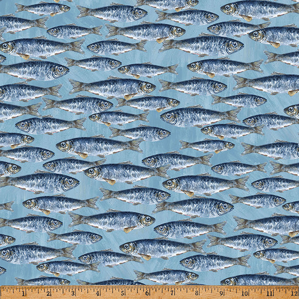 Land Sea Sky || Cerulean Y5873