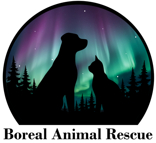 Charity Kit Pick-Up | Boreal Animal Rescue