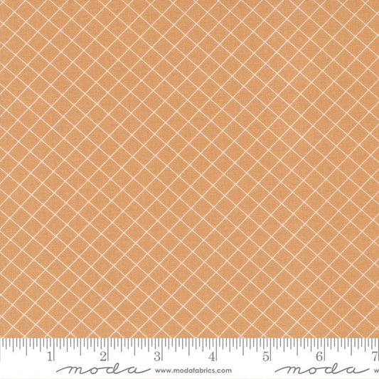 Sunnyside - Graph | Apricot